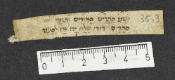 Pergamene ebraiche ACMO 1-103, App. 1-3 - pag. 35.3a