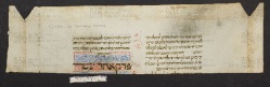 Pergamene ebraiche ACMO 1-103, App. 1-3 - pag. 97.2a