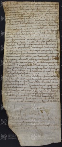 20 A.7.XXIr, Investitura fatta da Leodoino vescovo a favore di Orso, Savignano, 871, ago. 7