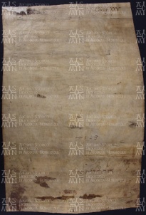 24 A.8.XXVv, Permuta di terre seguita tra Leodoino vescovo ed Eliburga, villa Cornaleto, 887, mag. 5