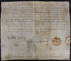 5 A.11.Vr, Privilegio di Berengario col quale concede a Gotefredo vescovo alcuni beni, Pavia, 904