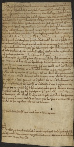 39 D.7.XXXVr, Rinnovazione d'investitura fatta da Dodone vescovo a favore di Giovanni da Cortatone e di Viviano, Modena, 1117, feb. 24