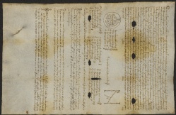 44 D.8.XXXIXr,Transunto del Privilegio di Callisto II ad istanza di Dodone vescovo, 1294, feb. 15