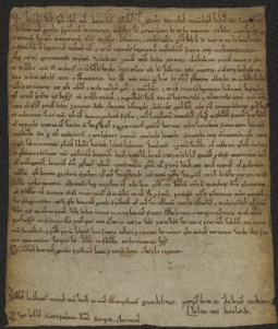 40 D.8.XXXVIr, Investitura fatta dal Capitolo a favore dei fratelli Giovanni e Rachinaldo e di Martino da Fredo, Modena, 1118, nov. 11