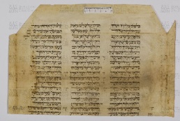 Pergamene ebraiche ACAMO 2-63, s.s - 53.2a