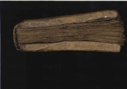 ACMo O.I.16 - pag. Taglio superiore