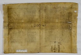 Pergamene ebraiche ACAMO 2-63, s.s - 45.1b