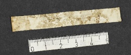 Pergamene ebraiche ACMO 1-103, App. 1-3 - pag. 35.4b