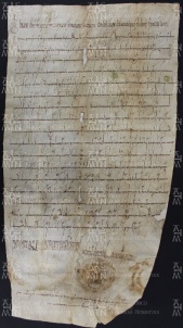 1 A.10.Ir, Donazione fatta da Berengario a Gotefredo vescovo, Pavia, 902