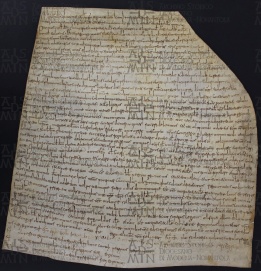 1 A.2.IIr Investitura fatta da Gisone vescovo a favore dei fratelli Scolastico Giovanni e Petronio 811 nov. 1