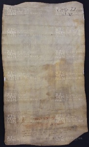 51 B.15.LIv, Donazione fatta da Martino arciprete, da Anselmo e Maria, e da Benedetto chierico, a favore di Ingone vescovo, Pieve di S. Maria in Rubiano, 1029, feb