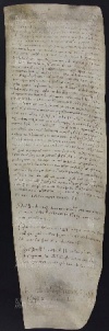 53 B.15.LIIIr, Donazione fatta da Domenico, Giovanni, Martino a favore di Ingone vescovo, Vignola, 1029, ago. 22