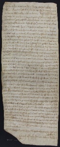 58 B.16.LVIIIr, Investitura fatta da Ingone vescovo a favore di Sigerone da Bazovara, Bazzano, 1029, ago. 25