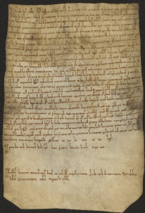 25 D.5.XXIIr, Investitura fatta da Dodone vescovo a favore di Sigezo, Guido et Alberto da Valle, Modena1111, ott. 