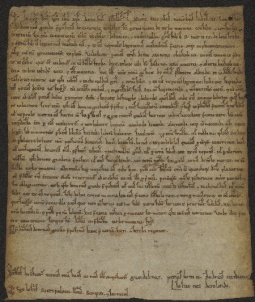 40 D.8.XXXVIr, Investitura fatta dal Capitolo a favore dei fratelli Giovanni e Rachinaldo e di Martino da Fredo, Modena, 1118, nov. 11