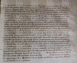 23.I(H) c. CII (cod. O.III.27) Alberto Arcidiacono e Guido Prevosto danno ad Allegretto Pietro Giovanni etc.figli del q.Leone da Albareto certe terre poste ivi 1110 feb 