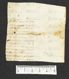 Pergamene ebraiche ACMO 1-103, App. 1-3 - pag. 39.5a