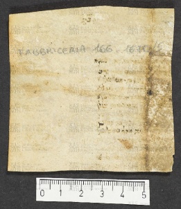 Pergamene ebraiche ACMO 1-103, App. 1-3 - pag. 39.5b