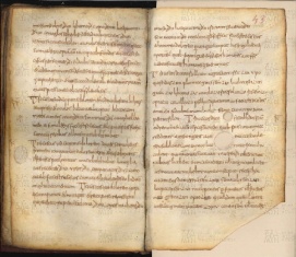 ACMo O.I.11 - pag. 43