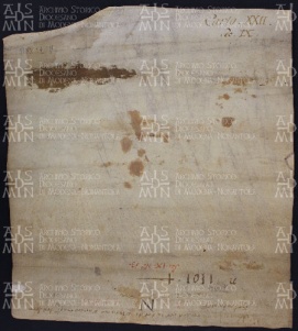 21 A.7.XXIIv, Concessione fatta da Leodoino vescovo a favore di Adelburga moglie di Auteramo conte, Modena, 876, giu. 12