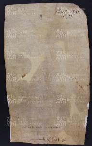 21 B.9.XXIv, Donazione fatta da Boniverto e Guido da Vignola a favore di Varino vescovo, Modena, 1018, ott. 2