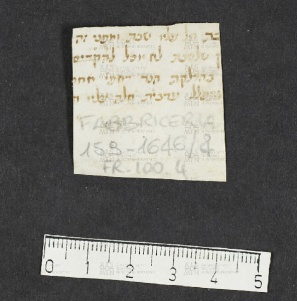 Pergamene ebraiche ACMO 1-103, App. 1-3 - pag. 100.4a