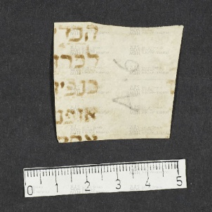 Pergamene ebraiche ACMO 1-103, App. 1-3 - pag. 101.6a