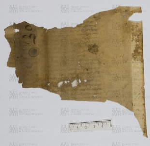 Pergamene ebraiche ACAMO 2-63, s.s - 13.3b