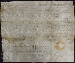 20 A.14.XXr, Privilegio di Ottone Magno col quale dona a Guido vescovo alcuni beni, S. Leo, 963, set. 12