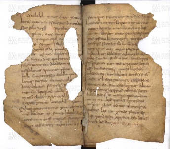 ACMo O.I.11 - pag. 3