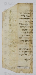 Pergamene ebraiche ACAMO 2-63, s.s - 15.2a