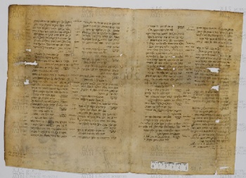 Pergamene ebraiche ACAMO 2-63, s.s - 51.1b