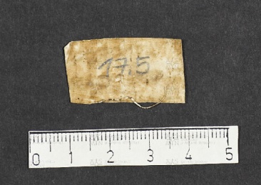 Pergamene ebraiche ACMO 1-103, App. 1-3 - pag. 17.5b