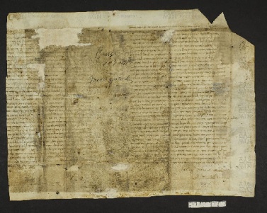 Pergamene ebraiche ACMO 1-103, App. 1-3 - pag. 39.1a