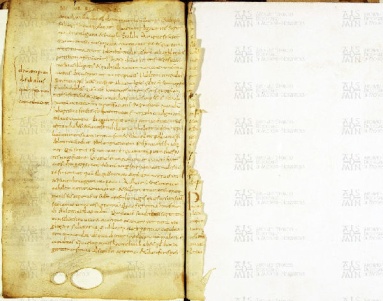 ACMo O.I.4 - pag. 103v