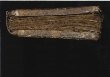 ACMo O.I.16 - pag. Taglio inferiore
