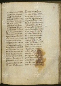 O.II.13 Missale vetus ad usum templariorum 081r