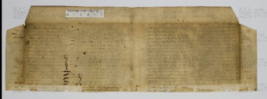 Pergamene ebraiche ACAMO 2-63, s.s - 45.3b