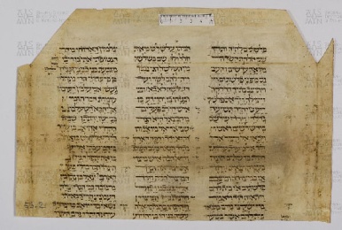 Pergamene ebraiche ACAMO 2-63, s.s - 53.2a