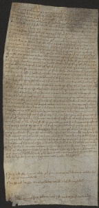 93 C.2.XCIIIr, Investitura fatta da Ingone vescovo a Domenico e Giovanni, Dugliolo, 1035, ott. 2