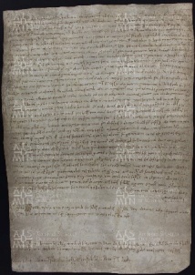 57 B.16.LVIIr, Investitura fatta da Ingone vescovo a favore dei fratelli Pietro e Raginfredo, e di alcuni altri da Ulmido, Modena, 1029, mar. 5