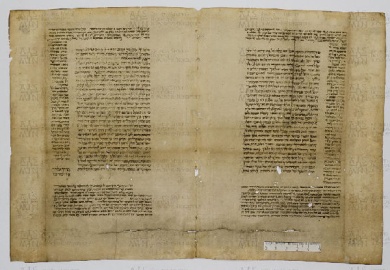 Pergamene ebraiche ACAMO 2-63, s.s - 42.1a