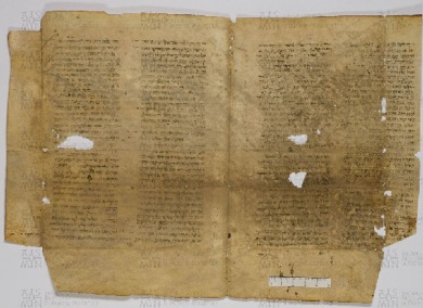 Pergamene ebraiche ACAMO 2-63, s.s - 51.2b