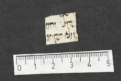 Pergamene ebraiche ACMO 1-103, App. 1-3 - pag. 17.8a