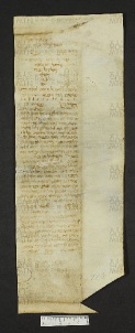 Pergamene ebraiche ACMO 1-103, App. 1-3 - pag. 22.2b