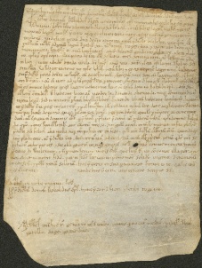 114 D.22.CVIr, Investitura fatta da Ribaldo vescovo a favore di Giovanni da San Felice, Modena, 1140, nov. 17
