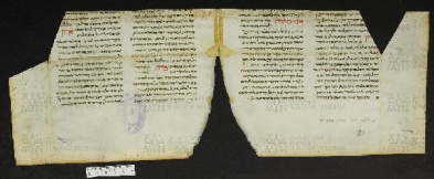 Pergamene ebraiche ACMO 1-103, App. 1-3 - pag. 50.2a