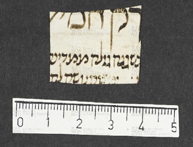 Pergamene ebraiche ACMO 1-103, App. 1-3 - pag. 17.7a
