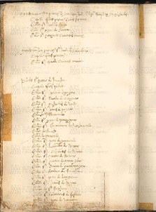 ACMo O.V.32 - pag. 105v