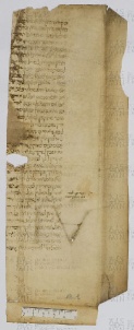 Pergamene ebraiche ACAMO 2-63, s.s - 13.1a